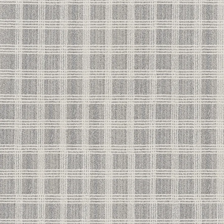 Anderson Tuftex Collab — Ski Resort · ZZ311-00100 — flooring selection with LeviArs Design & Remodeling