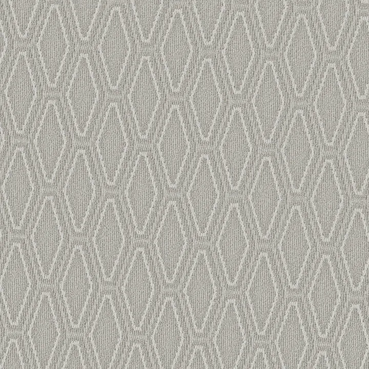 Anderson Tuftex Cozy Cable — Blustery · ZZ292-00352 — flooring selection with LeviArs Design & Remodeling