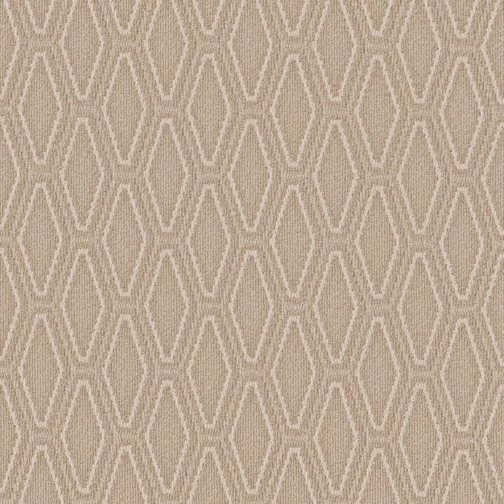 Anderson Tuftex Cozy Cable — Boutique · ZZ292-00224 — flooring selection with LeviArs Design & Remodeling