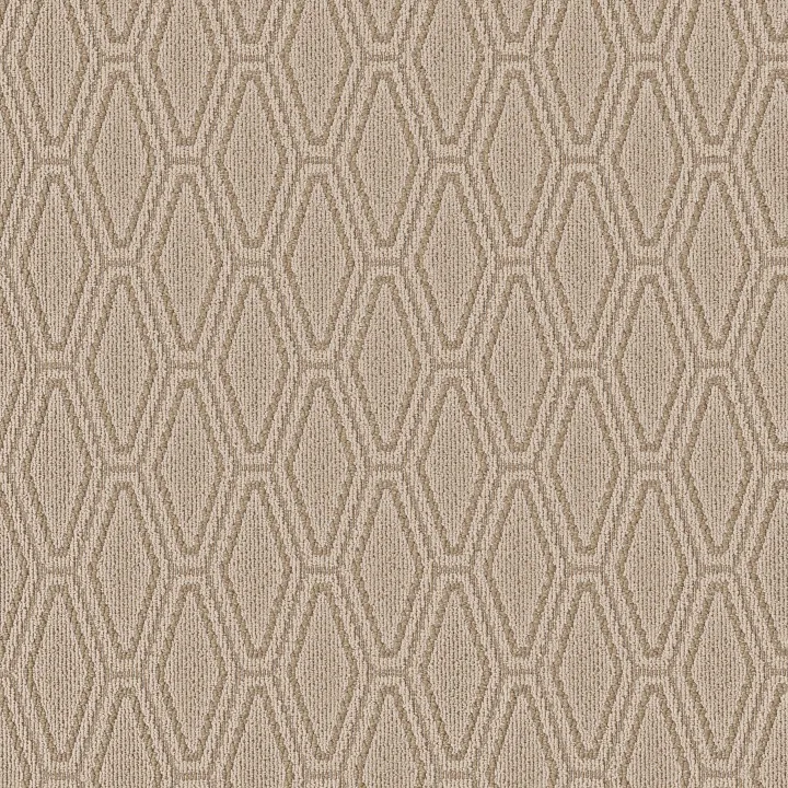 Anderson Tuftex Cozy Cable — Cork · ZZ292-00273 — flooring selection with LeviArs Design & Remodeling