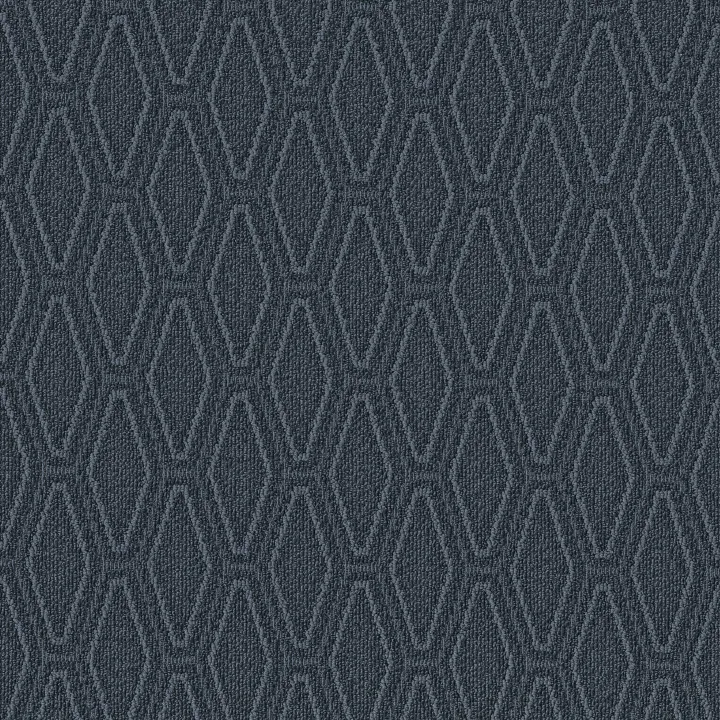 Anderson Tuftex Cozy Cable — Harbor · ZZ292-00448 — flooring selection with LeviArs Design & Remodeling