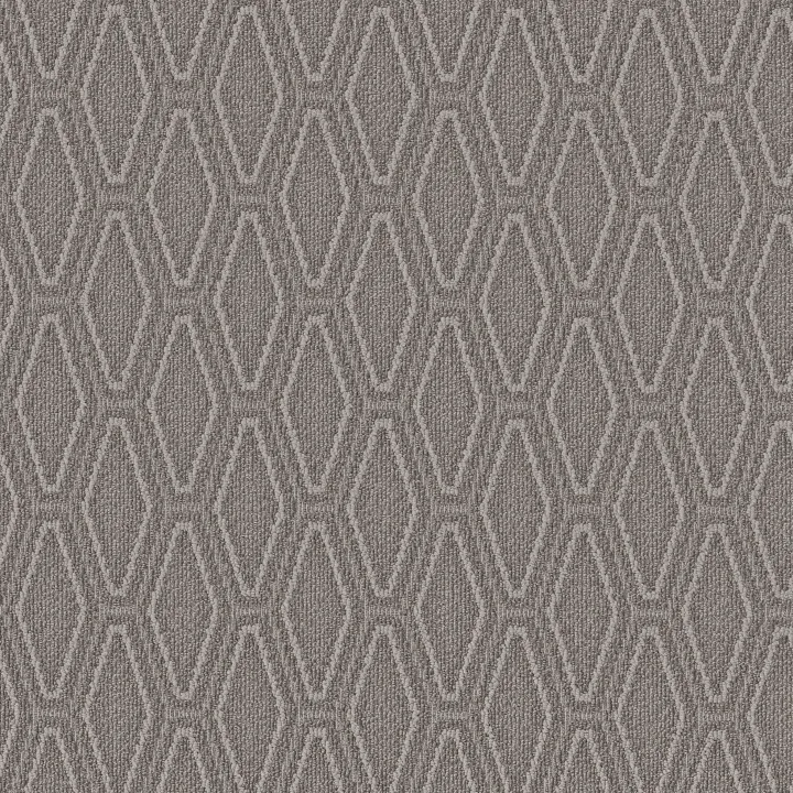 Anderson Tuftex Cozy Cable — Silver Polish · ZZ292-00546 — flooring selection with LeviArs Design & Remodeling
