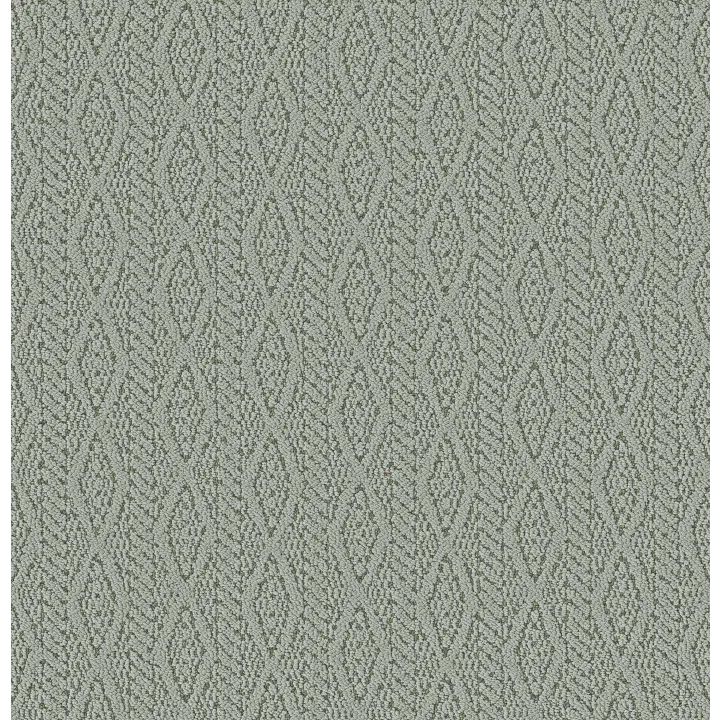 Anderson Tuftex Crochet — Fern · ZZ352-00302 — flooring selection with LeviArs Design & Remodeling