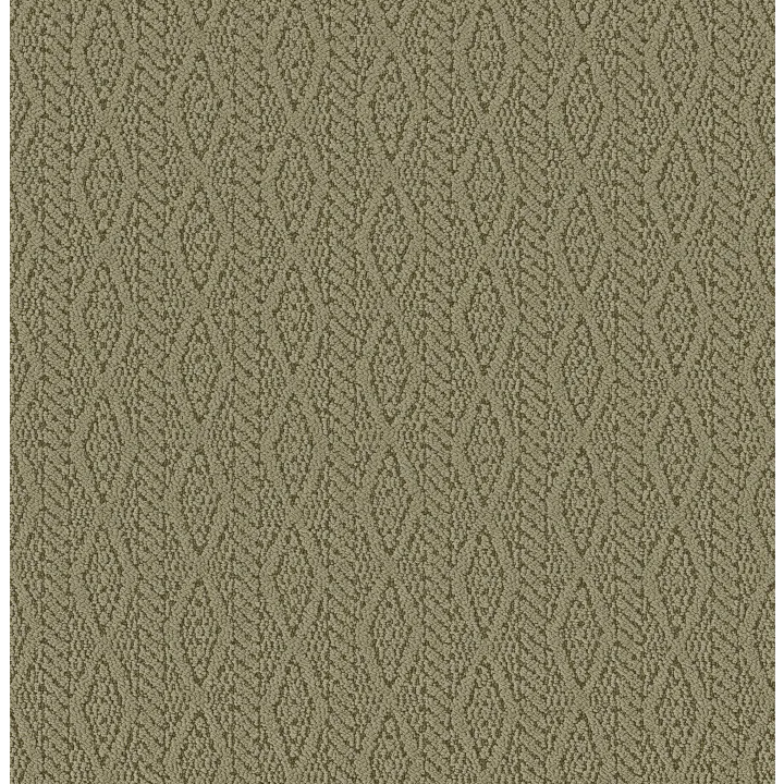 Anderson Tuftex Crochet — Moss · ZZ352-00303 — flooring selection with LeviArs Design & Remodeling