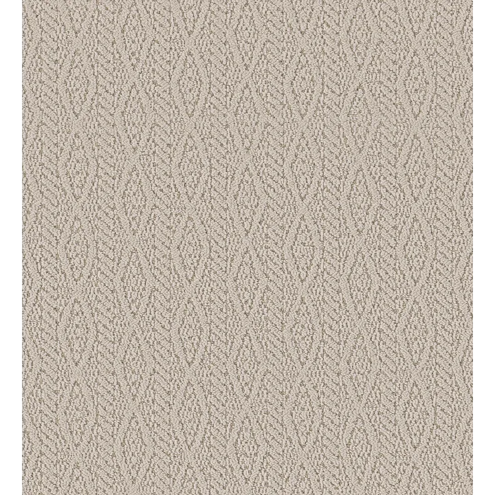 Anderson Tuftex Crochet — Putty · ZZ352-00105 — flooring selection with LeviArs Design & Remodeling