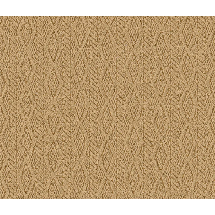 Anderson Tuftex Crochet — Radiance · ZZ352-00201 — flooring selection with LeviArs Design & Remodeling