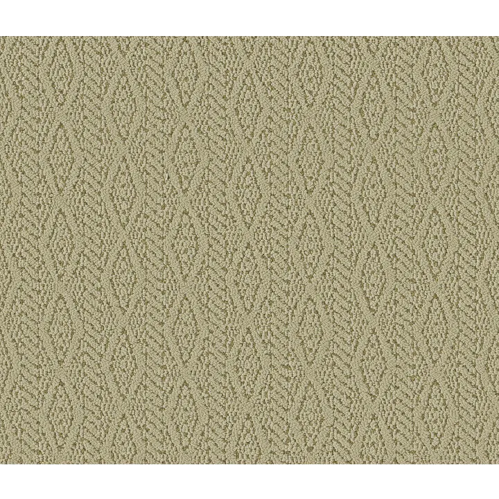 Anderson Tuftex Crochet — Sprout · ZZ352-00300 — flooring selection with LeviArs Design & Remodeling