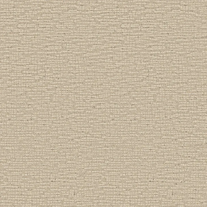 Anderson Tuftex Curator — Guardian · ZZ347-00100 — flooring selection with LeviArs Design & Remodeling