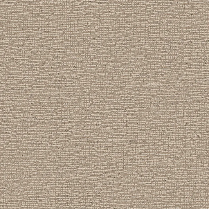 Anderson Tuftex Curator — Trustee · ZZ347-00101 — flooring selection with LeviArs Design & Remodeling