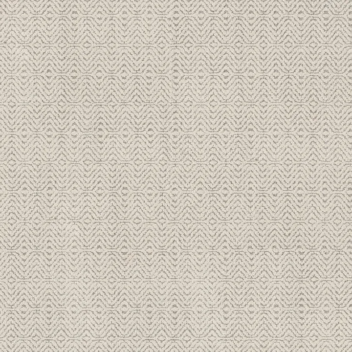 Anderson Tuftex Delight — Antique Pearl · ZZ310-00102 — flooring selection with LeviArs Design & Remodeling