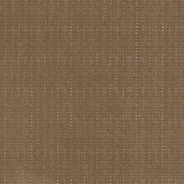 Anderson Tuftex Delight — Autumn Acorn · ZZ310-00600 — flooring selection with LeviArs Design & Remodeling