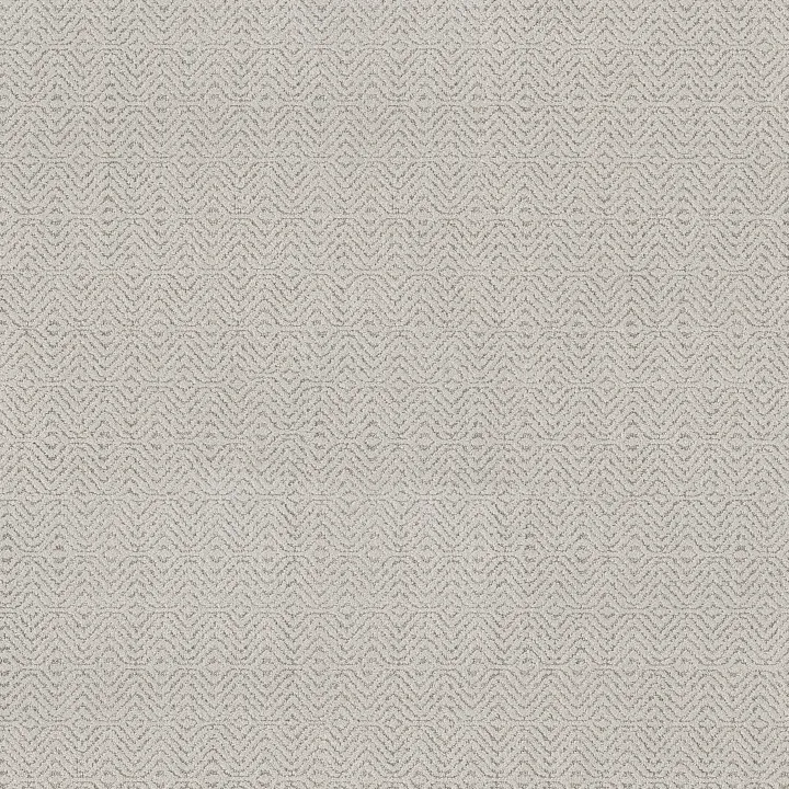 Anderson Tuftex Delight — Birch Bark · ZZ310-00500 — flooring selection with LeviArs Design & Remodeling