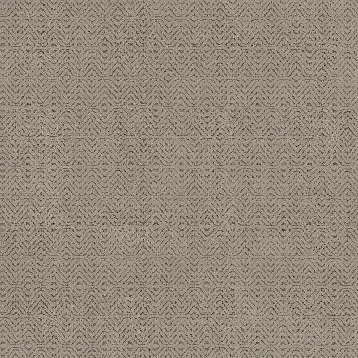 Anderson Tuftex Delight — Chic Taupe · ZZ310-00701 — flooring selection with LeviArs Design & Remodeling