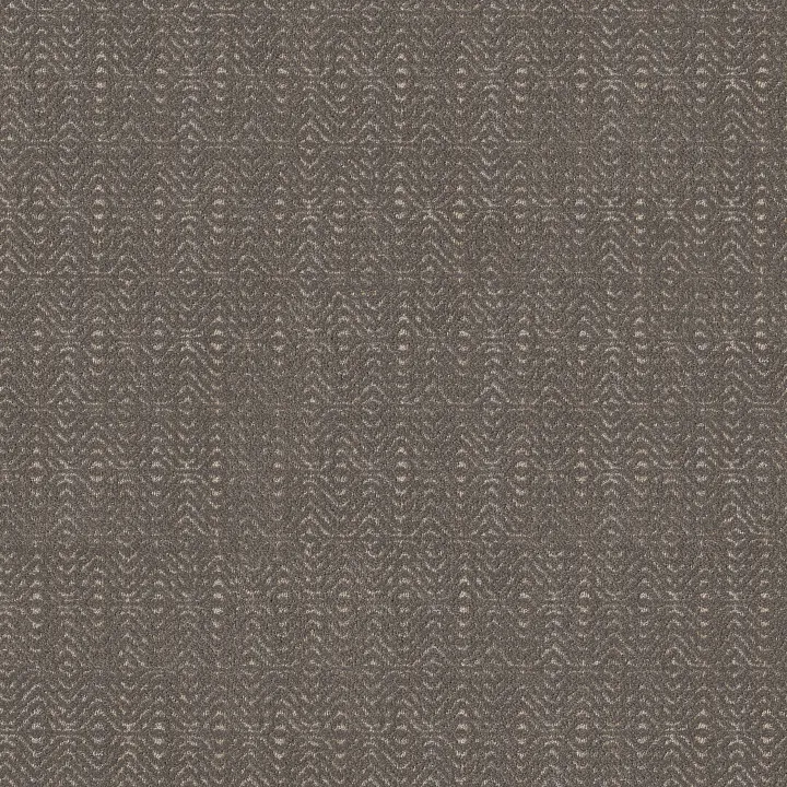 Anderson Tuftex Delight — Driftwood · ZZ310-00702 — flooring selection with LeviArs Design & Remodeling