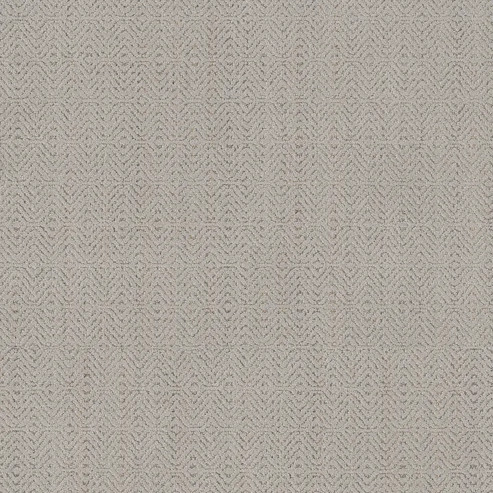 Anderson Tuftex Delight — Fine Jewelry · ZZ310-00501 — flooring selection with LeviArs Design & Remodeling