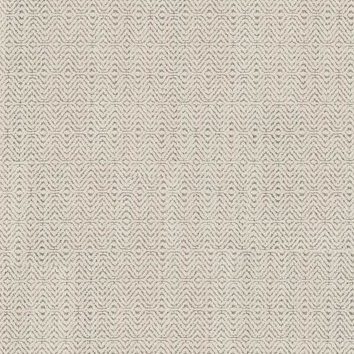 Anderson Tuftex Delight — Ivory Metallic · ZZ310-00103 — flooring selection with LeviArs Design & Remodeling