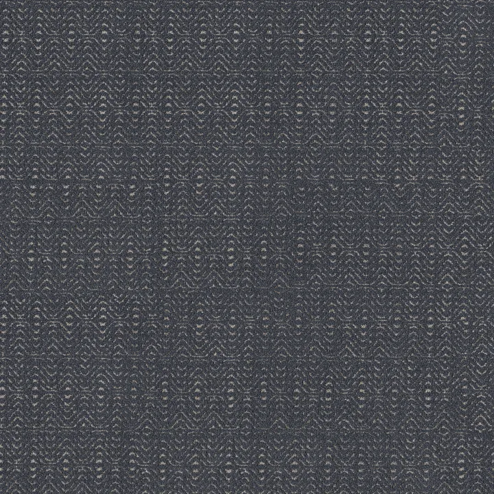 Anderson Tuftex Delight — Moody Blue · ZZ310-00401 — flooring selection with LeviArs Design & Remodeling
