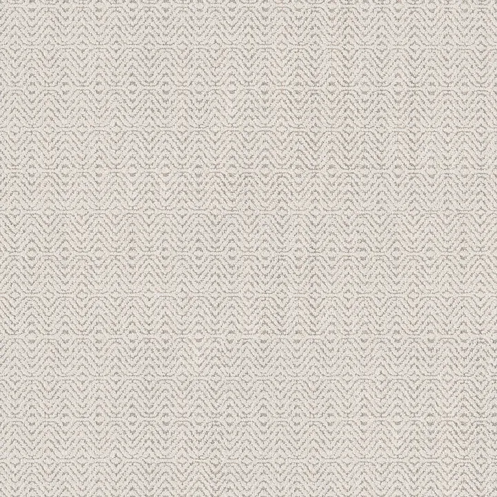 Anderson Tuftex Delight — Sea Salt · ZZ310-00101 — flooring selection with LeviArs Design & Remodeling