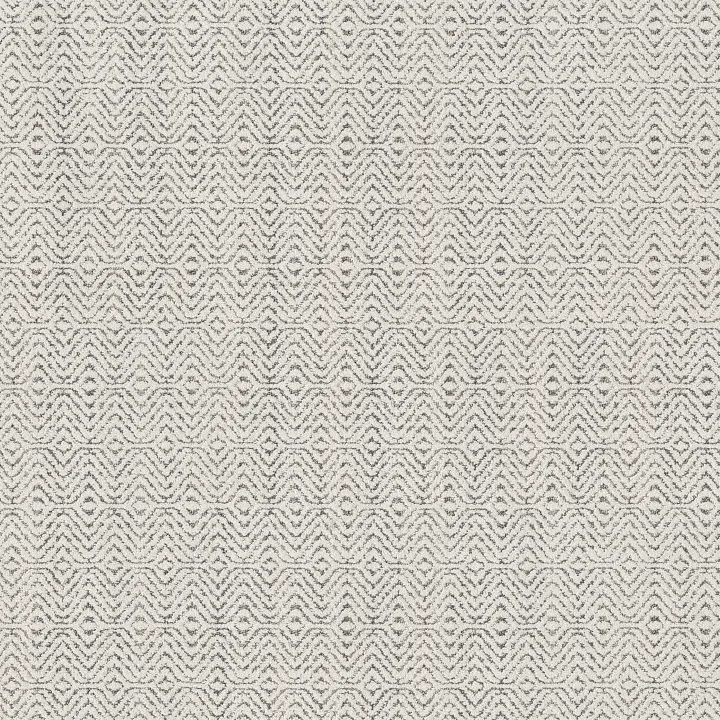 Anderson Tuftex Delight — Ski Resort · ZZ310-00100 — flooring selection with LeviArs Design & Remodeling