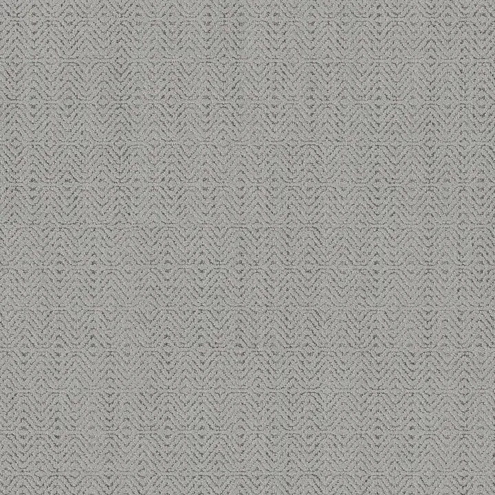 Anderson Tuftex Delight — Stonewashed · ZZ310-00400 — flooring selection with LeviArs Design & Remodeling