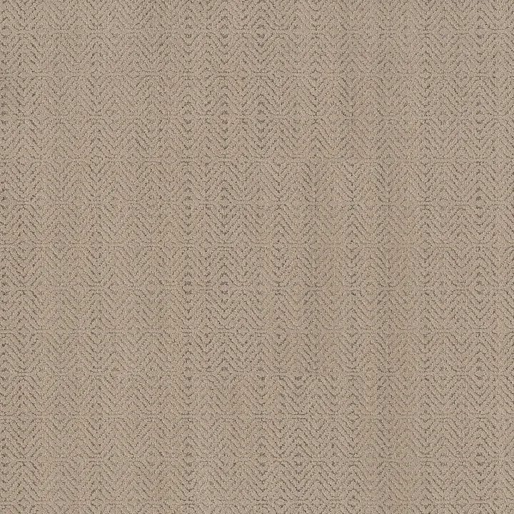 Anderson Tuftex Delight — Toffee · ZZ310-00700 — flooring selection with LeviArs Design & Remodeling