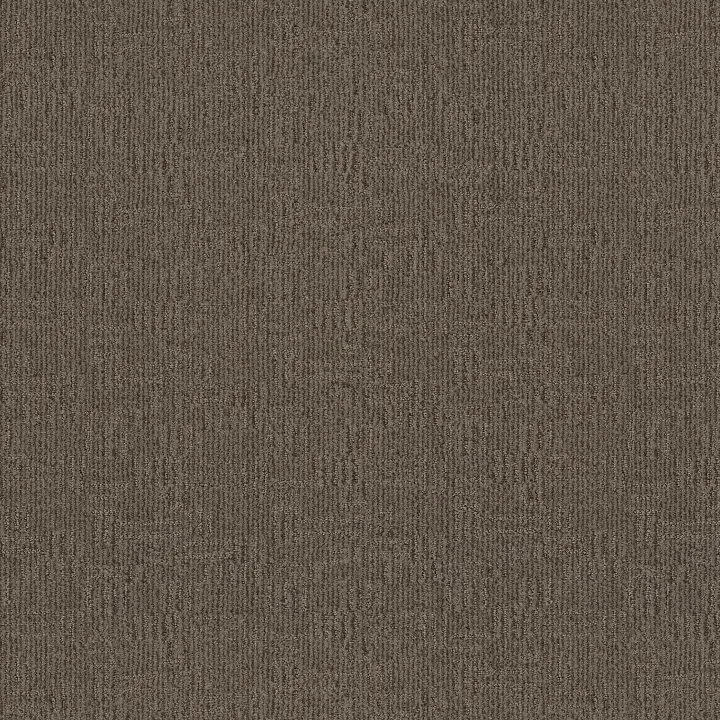 Anderson Tuftex Diego — Apparition · ZZ223-00577 — flooring selection with LeviArs Design & Remodeling