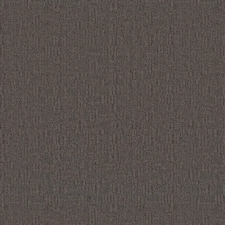 Anderson Tuftex Diego — Deep Space · ZZ223-00548 — flooring selection with LeviArs Design & Remodeling