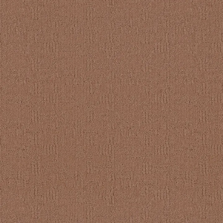 Anderson Tuftex Diego — Desert Beach · ZZ223-00765 — flooring selection with LeviArs Design & Remodeling