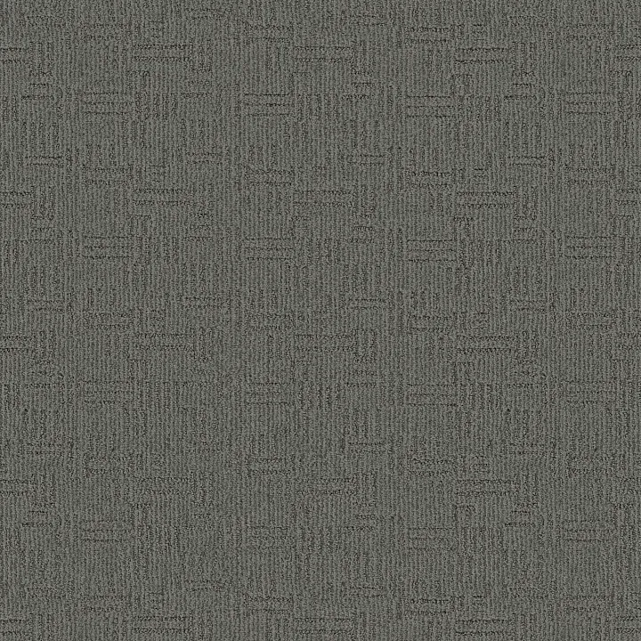 Anderson Tuftex Diego — Enchanted · ZZ223-00347 — flooring selection with LeviArs Design & Remodeling
