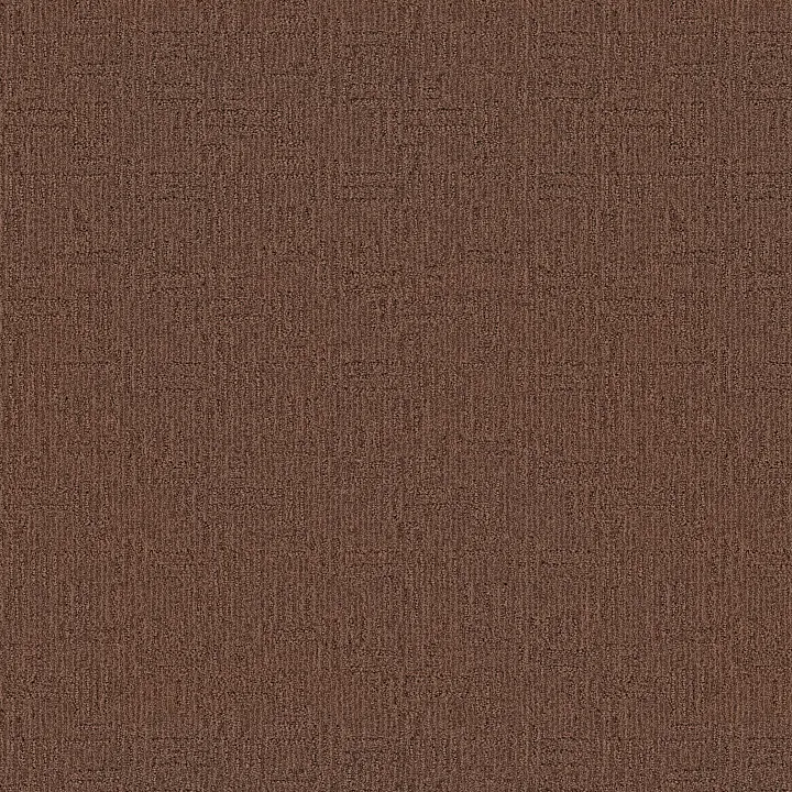 Anderson Tuftex Diego — Fallen Timber · ZZ223-00776 — flooring selection with LeviArs Design & Remodeling