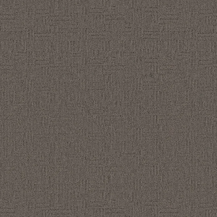 Anderson Tuftex Diego — Gunmetal · ZZ223-00558 — flooring selection with LeviArs Design & Remodeling