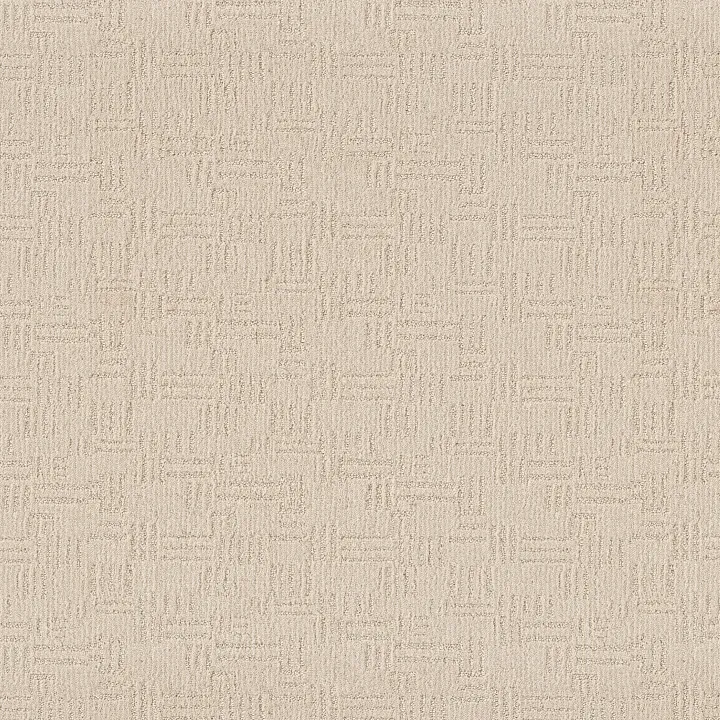 Anderson Tuftex Diego — Haven · ZZ223-00112 — flooring selection with LeviArs Design & Remodeling