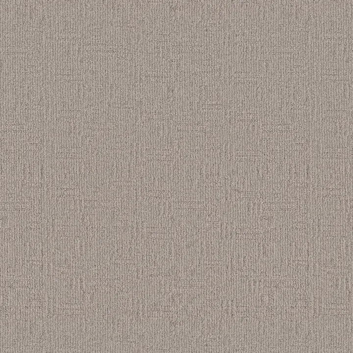 Anderson Tuftex Diego — Ice Formation · ZZ223-00551 — flooring selection with LeviArs Design & Remodeling
