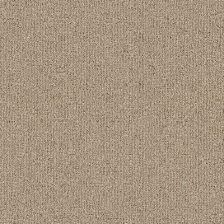 Anderson Tuftex Diego — Parchment · ZZ223-00114 — flooring selection with LeviArs Design & Remodeling