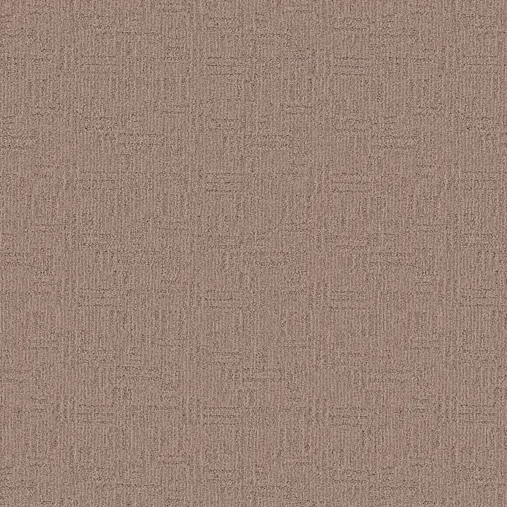 Anderson Tuftex Diego — Sandlot · ZZ223-00573 — flooring selection with LeviArs Design & Remodeling