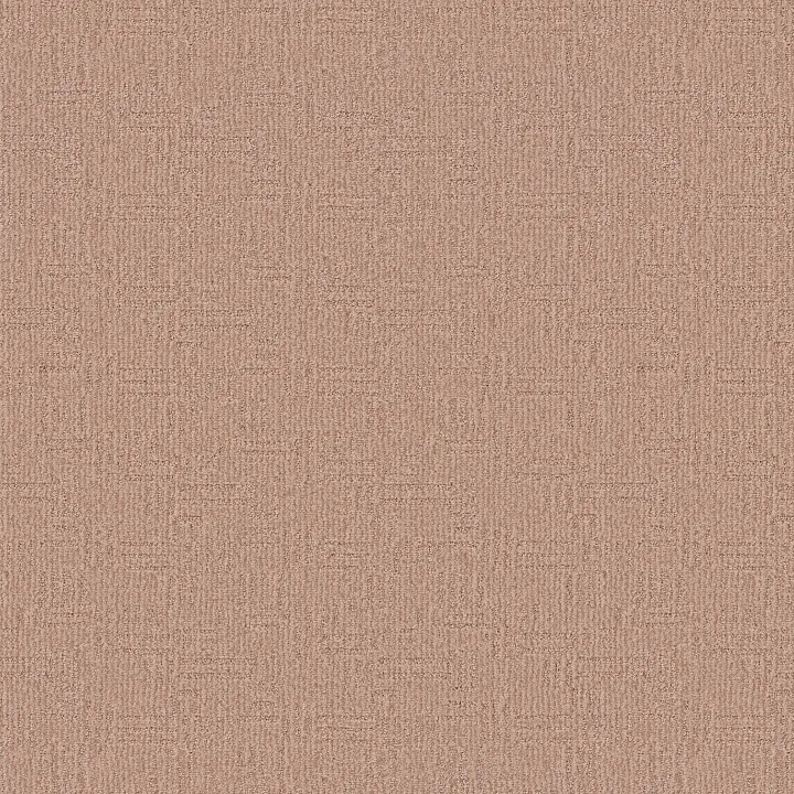 Anderson Tuftex Diego — Twilight Gold · ZZ223-00763 — flooring selection with LeviArs Design & Remodeling