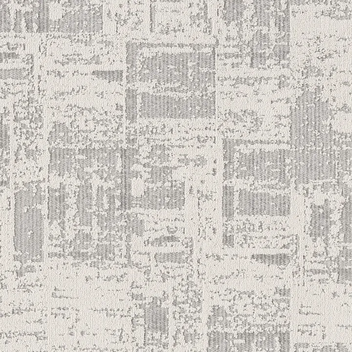 Anderson Tuftex Discover — First Frost · ZZ329-00100 — flooring selection with LeviArs Design & Remodeling