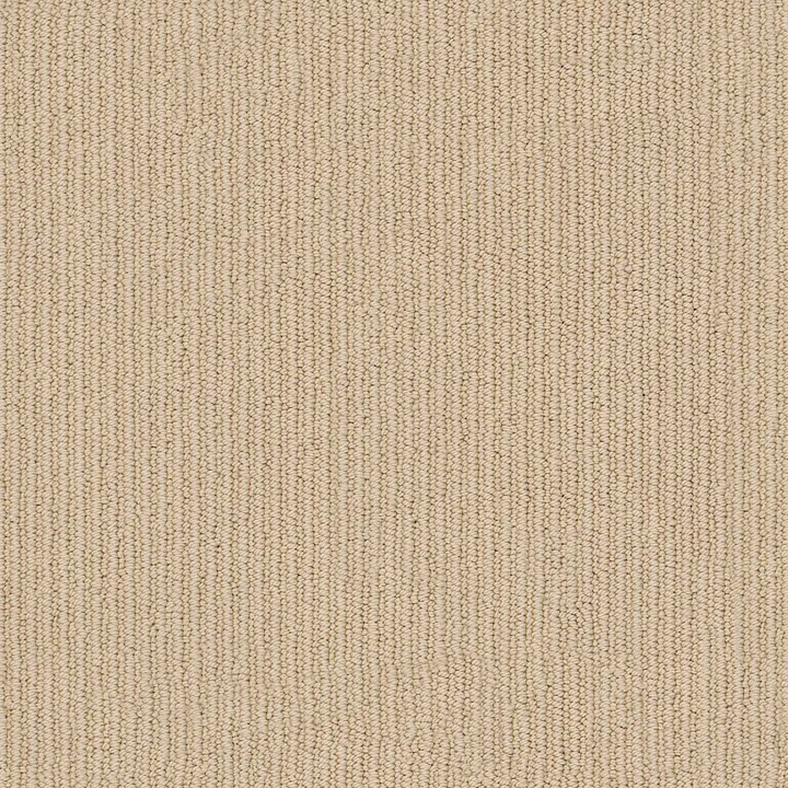 Anderson Tuftex Dynasty — Adobe · ZZ096-00125 — flooring selection with LeviArs Design & Remodeling