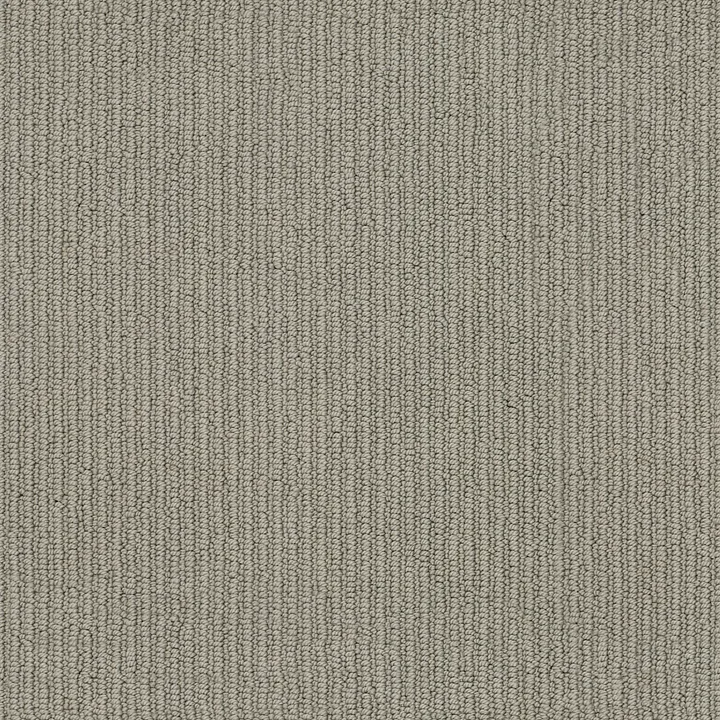 Anderson Tuftex Dynasty — Charleston · ZZ096-00556 — flooring selection with LeviArs Design & Remodeling