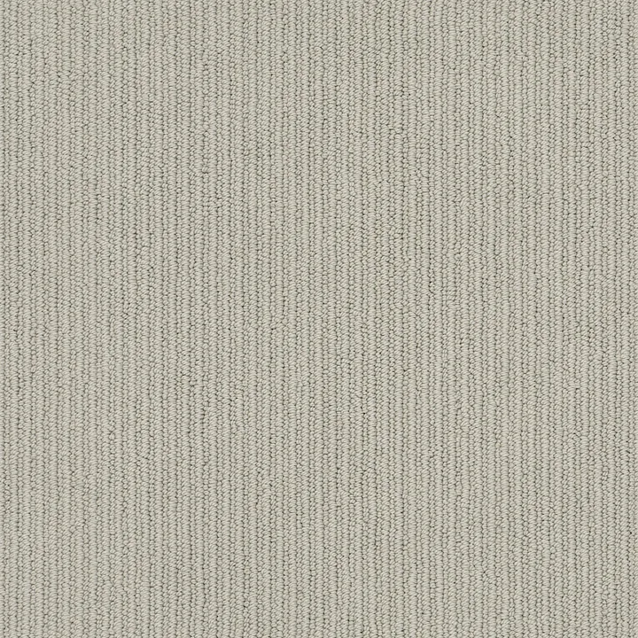 Anderson Tuftex Dynasty — Dove Tail · ZZ096-00554 — flooring selection with LeviArs Design & Remodeling