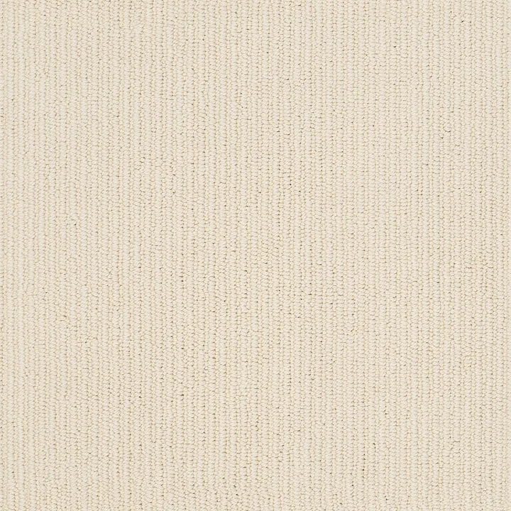 Anderson Tuftex Dynasty — Flaxseed · ZZ096-00123 — flooring selection with LeviArs Design & Remodeling