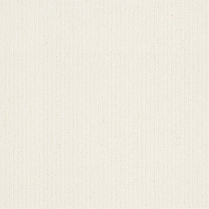 Anderson Tuftex Dynasty — Froth · ZZ096-00120 — flooring selection with LeviArs Design & Remodeling