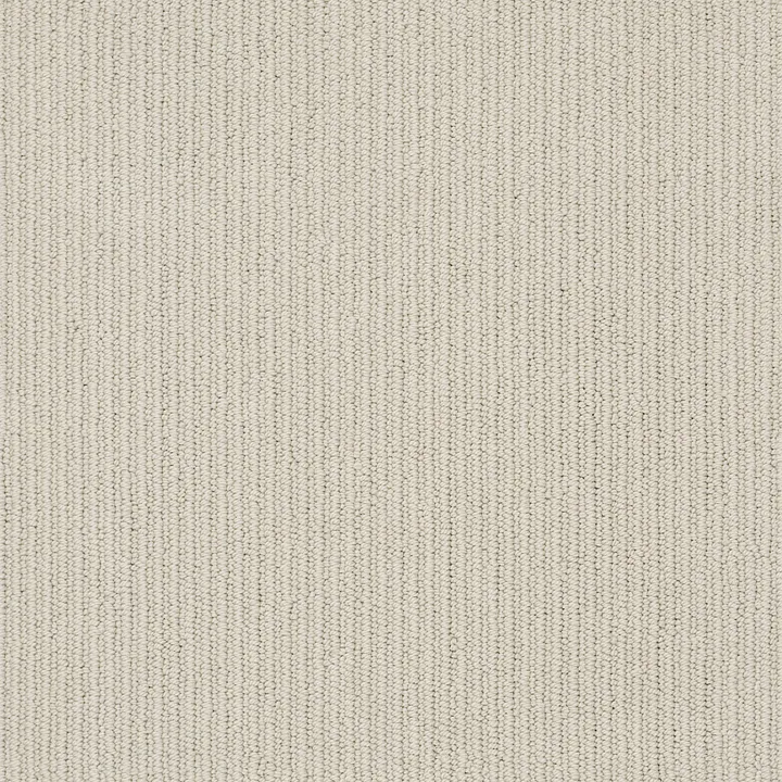 Anderson Tuftex Dynasty — Gray Pearl · ZZ096-00573 — flooring selection with LeviArs Design & Remodeling