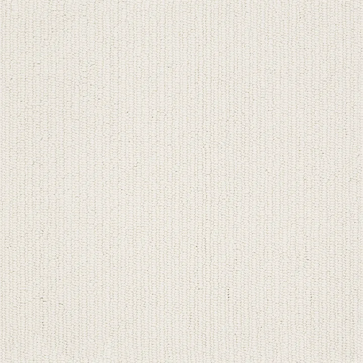 Anderson Tuftex Dynasty — Home Plate · ZZ096-00171 — flooring selection with LeviArs Design & Remodeling