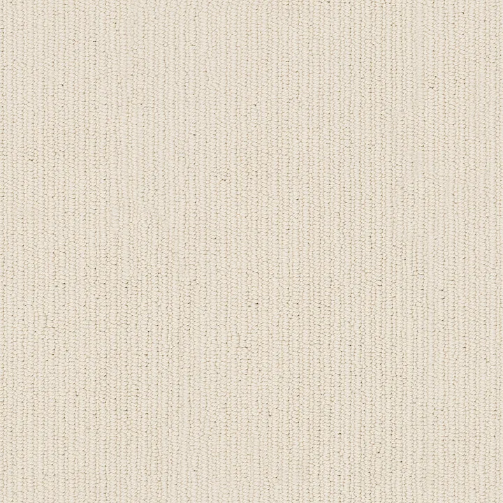 Anderson Tuftex Dynasty — Marble Dust · ZZ096-00113 — flooring selection with LeviArs Design & Remodeling
