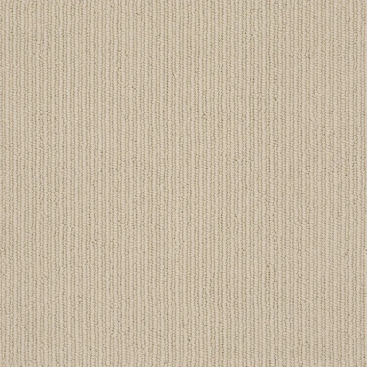 Anderson Tuftex Dynasty — Oatmeal · ZZ096-00175 — flooring selection with LeviArs Design & Remodeling