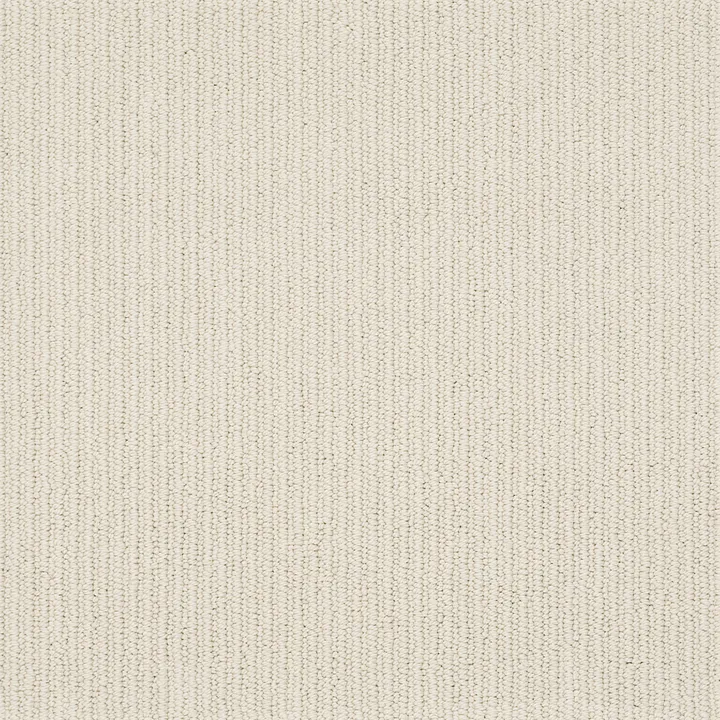 Anderson Tuftex Dynasty — Shaded White · ZZ096-00571 — flooring selection with LeviArs Design & Remodeling