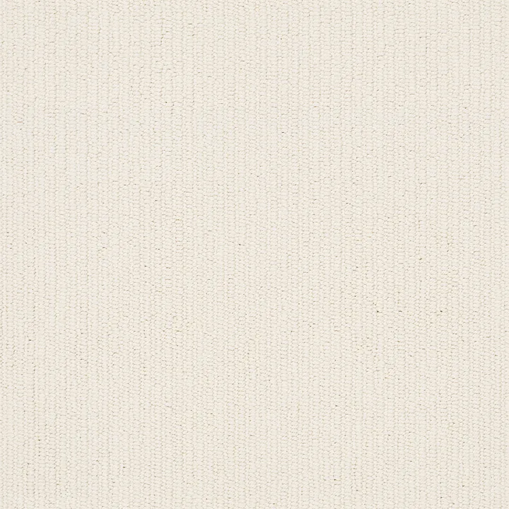 Anderson Tuftex Dynasty — Solar · ZZ096-00112 — flooring selection with LeviArs Design & Remodeling