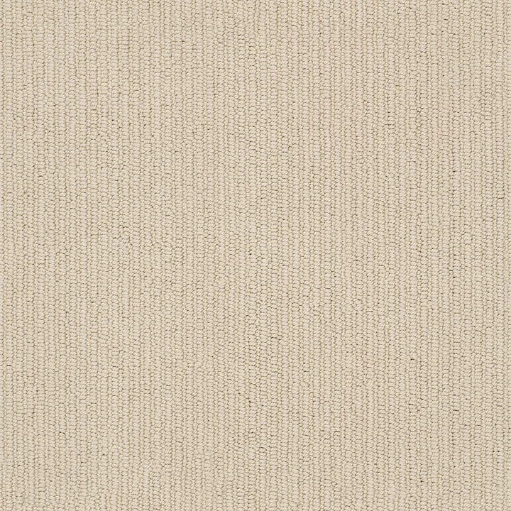 Anderson Tuftex Dynasty — String · ZZ096-00115 — flooring selection with LeviArs Design & Remodeling