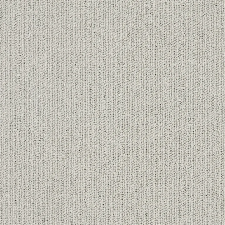 Anderson Tuftex Dynasty — Whisper · ZZ096-00552 — flooring selection with LeviArs Design & Remodeling